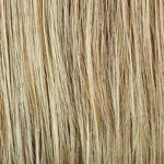 Gallery_per003739-33708