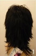 NR 1250cm # 1