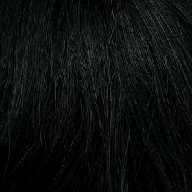 CATHERINA # 1